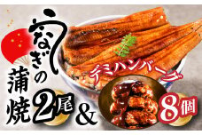 A1435.うなぎの蒲焼２尾＆大人気のデミハンバーグ８個【新宮町ゴールデンセット】