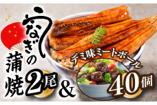 A1438.うなぎの蒲焼２尾＆デミ味ミートボール４０個【新宮町Aセット】