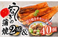 A1439.うなぎの蒲焼２尾＆照り焼きチキンボール４０個【新宮町Bセット】