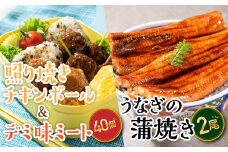 A1440.うなぎの蒲焼２尾＆デミ味ミート＆照り焼きチキンボール４０個（２種×２０個）【新宮町レインボーセット】