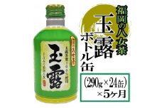 F068.【全5回定期便】福岡の八女茶.玉露ボトル缶（290g×24缶）【八女茶】