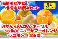 FF003.福岡柑橘王国！柑橘定期便Aセット