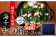 AF049.【海千】もつ鍋2～3人前セット（味噌味）