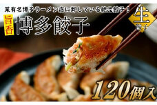 AB285.【創業40年の老舗が誇る味わい】博多餃子１２０個