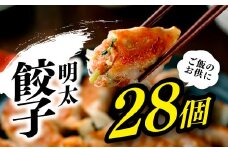 ZG142.明太餃子（１４個入り）×2セット