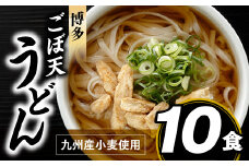 ZF079.博多ごぼ天うどん１０食