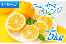 AA115.福岡柑橘王国．ニューサマーオレンジ約5kg／2026年4月配送