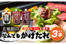 ZI135.玄風館のなんでもかけたれ（3種類3本セット）