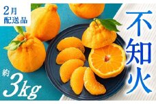 AA132.農家直送の不知火／約3kg（2026年2月発送予定)