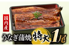AB292.【国内産】【有頭】うなぎ蒲焼 (特大) 1尾 ＜計250g前後＞『１～２ヶ月前後でお届け！！』