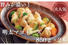 AB166.【大人気】明太マヨネーズ（850g×2本）