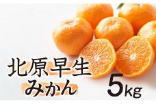 AA139.【予約受付・期間限定商品】北原早生みかん（5kg程度）.2025年10月～11月配送