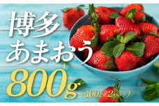 AB144.★限定品★あまおう（４００ｇ×２パック）／２０２６年１月下旬～４月発送【あまおう】