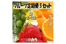 CF026.九州・福岡フルーツ王国.旬のフルーツ定期便Sセット【あまおう】