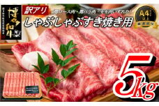 J066.【訳あり！】博多和牛しゃぶすき用（5kg）