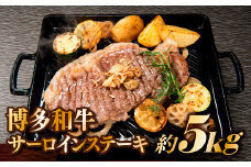 K034.博多和牛サーロインステーキセット（5kg）