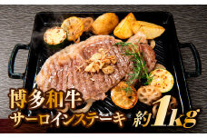D040.博多和牛サーロインステーキセット（1kg）