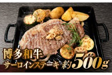 B305.博多和牛サーロインステーキセット（500g）