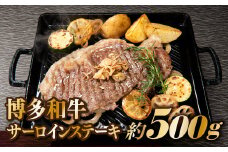 B305.博多和牛サーロインステーキセット（500g）