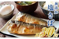 AB182.バラ凍結で便利！塩さば（約3kg）