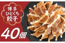 Z263.福岡・博多の味『博多一口餃子』４０個入（４０個入×１Ｐ）