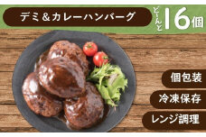 A1508.累計３００万個突破記念！どーんと１６個！デミ＆カレーハンバーグセット【150g×16個】