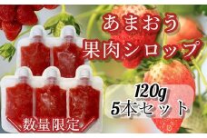ZI139.あまおう果肉シロップ
