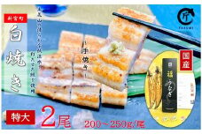 AH056.国産うなぎ白焼2尾（計400～500g）