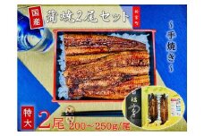 B332.国産うなぎ蒲焼2尾（計400～500g）