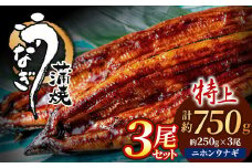 AE202.うなぎ蒲焼き3尾セット（約250g×3尾）