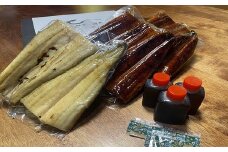B355.特盛！鰻の蒲焼き2尾と白焼き1尾セット（計600g前後）