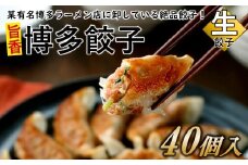 ZG199.【創業40年の老舗が誇る味わい】博多餃子４０個