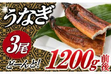 AB431.うなぎの蒲焼３尾（計１，２００ｇ前後）『１～２ヶ月前後でお届け！！』