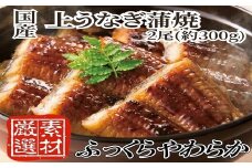 AC134.【国内産】上うなぎ蒲焼.2尾（約300g）『1~2ヶ月前後でお届け！！』