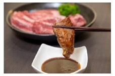 AG105.博多和牛A4ランク以上・希少部位おまかせ6種セット【博多和牛】