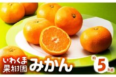 AA216.いわくま果樹園から直送品の温州みかん（約5kg）／2025年9月下旬～2026年1月下旬発送予定★予約分★