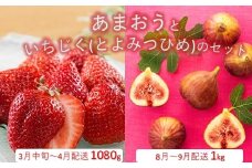 B385.あまおう約1,080gといちじく（とよみつひめ）約1kgのセット【あまおう】【とよみつひめ】