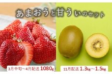 B386.あまおう約1,080gと甘うぃ約1.3kg～1.5kgのセット【あまおう】【甘うぃ】
