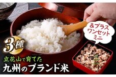 AE224.立花山で育てた九州のブランド米・味くらべ＆プラスワンセットミニ