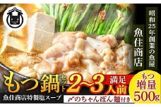A1593.魚住商店特製塩もつ鍋セット2～3人前・〆のチャンポン麺付き【満足もつ増量500g】