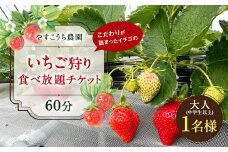 いちご狩り 食べ放題チケット60分 大人(中学生以上)1名様 イチゴ狩り 福岡県 やすこうち農園 久山町 体験チケット