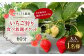 いちご狩り 食べ放題チケット60分 大人(中学生以上)1名様