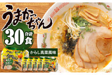 うまかっちゃん 博多からし高菜風味 5袋×6パック ラーメン 豚骨 袋ラーメン