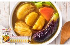 CoCo壱番屋監修 スープカレー 750g×10袋 カレー スープカレー用スープ CoCo壱 ココイチ