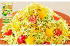 ぱくぱくキャベツ用 セット 67g×10袋 ドレッシング 揚げ麺 油揚げめん パリパリ麺 サラダ