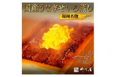 福岡名物　国産うなぎせいろ蒸し　2折　AF001