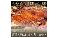 国産うなぎ蒲焼×2尾、白焼×1尾　AF004