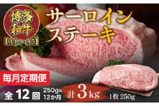【毎月定期便】【A4～A5】博多和牛サーロインステーキ　250g[250g×1枚]全12回　AO060