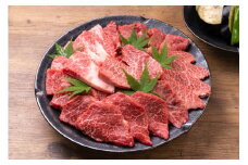 【毎月定期便】訳あり【A4～A5】博多和牛焼肉切り落とし　1kg(500g×2p) 全12回　AO094