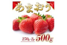 福岡県産 あまおう 500g　先行予約 2026年1月以降より順次発送　BA005-3